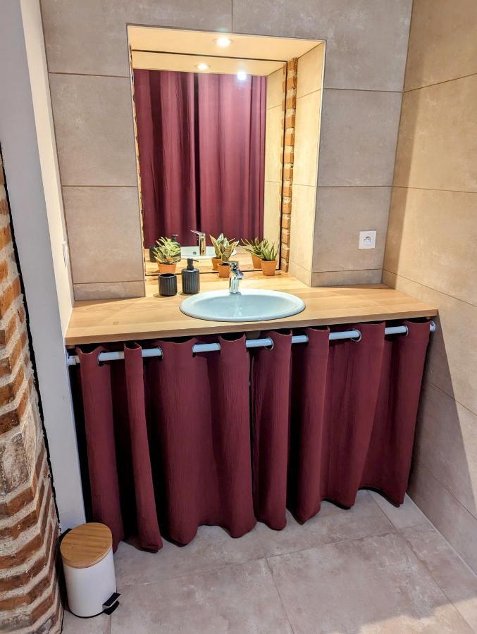 Douceur, Elegance Au Coeur D'Albi公寓 外观 照片